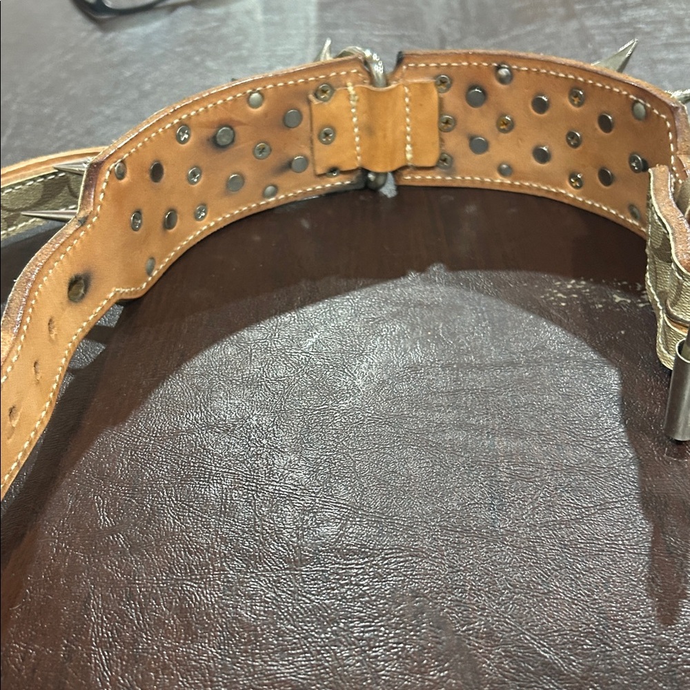 Custom leather heavyweight Dog collar! - Picture 3 of 8